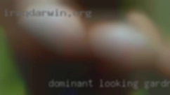 Dominant looking in Gardnerville, Nevada for his LG. Dominant looking in Gardnerville, Nevada for his LG.
